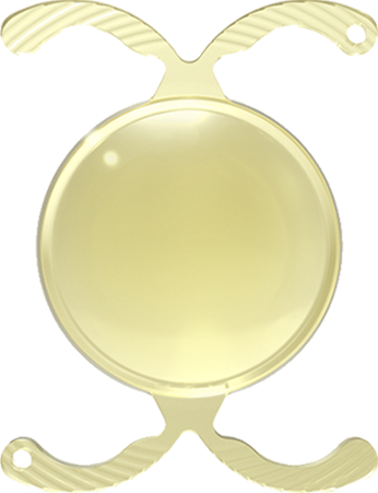 Podeye 인공수정체